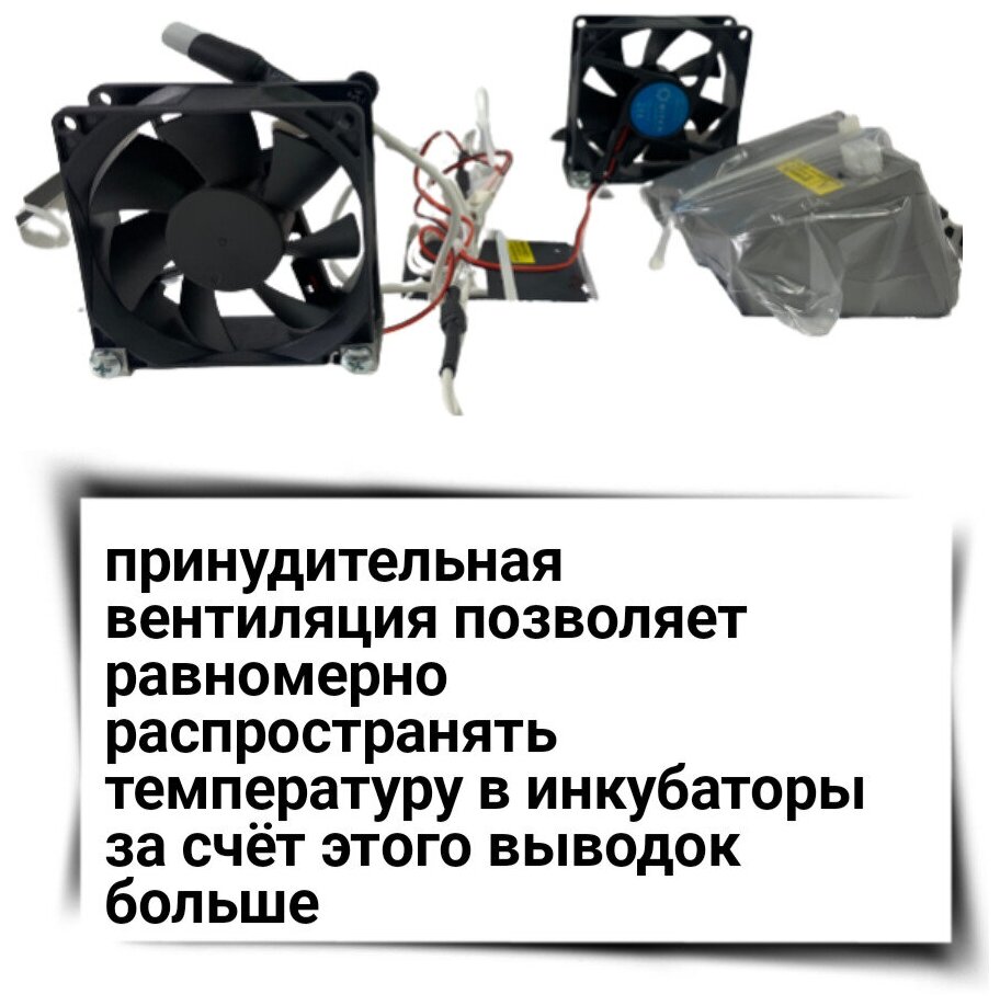 Инкубатор для яиц Автоматический (100% автомат) на 36 куриных +20 гусиных яиц "Necushka" - фотография № 3