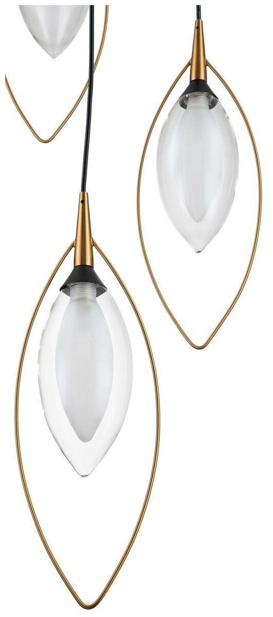 Подвесная люстра Indigo Fiore 13001/3P Black - фото №2