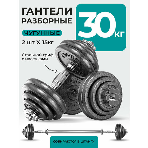 Гантели разборные 15 кг 2 шт PROIRON, из чугуна с грифом, для фитнеса и спорта