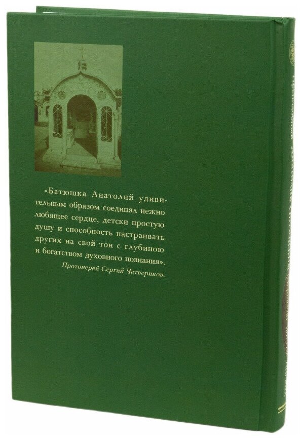 Преподобный Анатолий Оптинский (Зерцалов). Житие, письма - фото №7