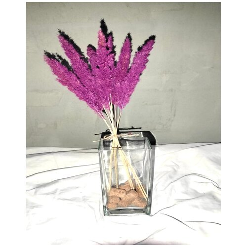 Букет цветов Вейника - 9 шт. для декора и интерьера дома. Цвет фиолетовый.