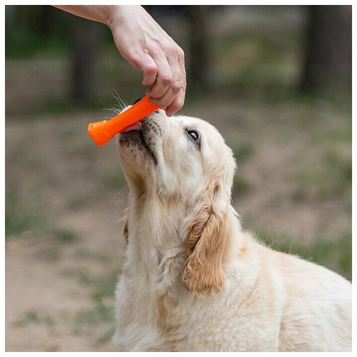 Игрушка пищащая "Кость-лакомство" для собак, 13 см, оранжевая 7704978 - фотография № 5