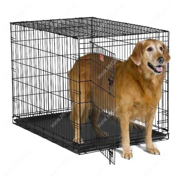 Клетка MidWest iCrate для собак 107х71х76h см, 1 дверь, черная - фотография № 12