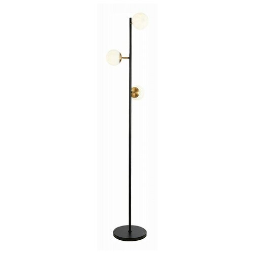 Торшер EVOLUCE Forli SLE220405-03