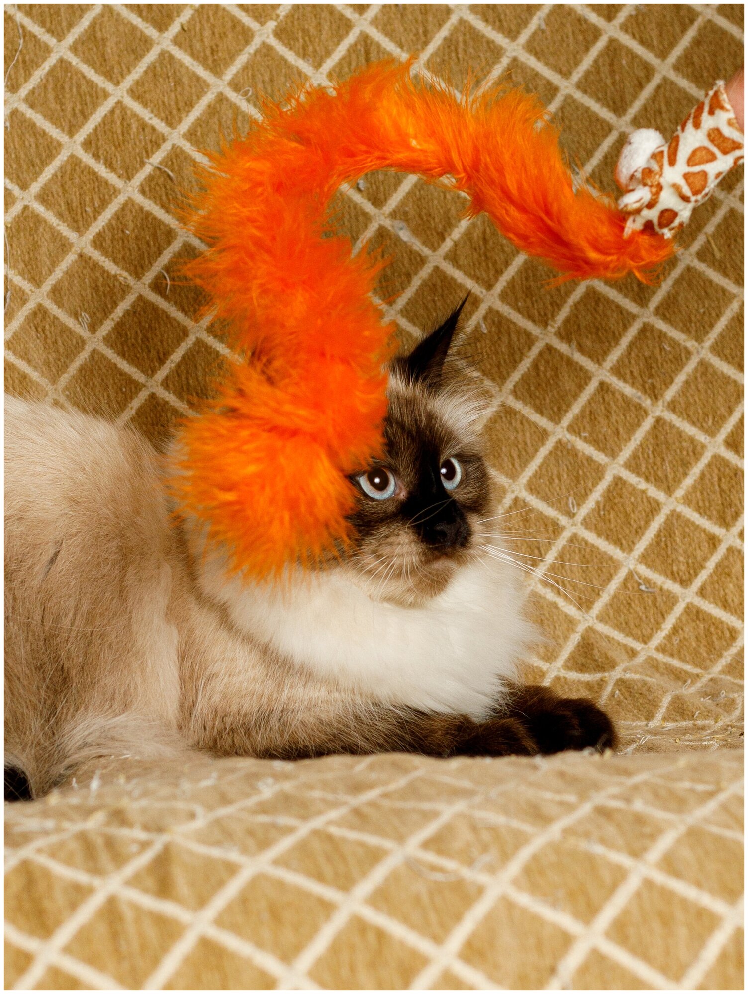 Игрушка для кошек и котят Japan Premium Pet пушистая дразнилка в виде жирафа, цвет оранжевый. - фотография № 1