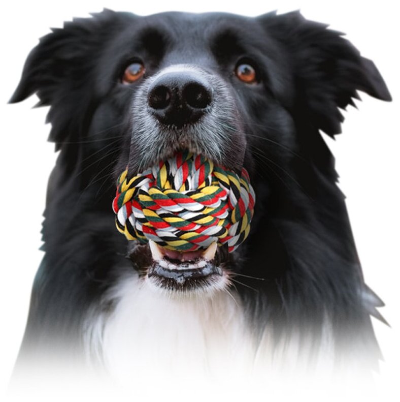 Игрушка для собак Плетёный мяч Pet Universe. Жевательная игрушка для зубов для щенков и взрослых, для средних и крупных собак / диаметр 7 см/ PU6006PL - фотография № 2