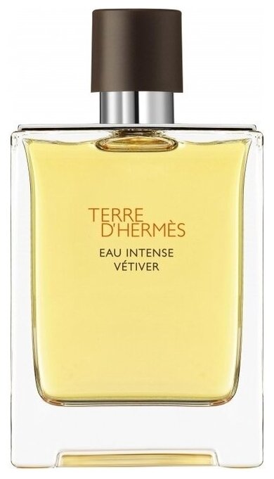 Hermes, Terre D'Hermes Eau Intense Vetiver, 100 мл, парфюмерная вода мужская