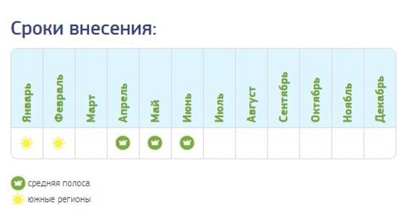 Органо-минеральное удобрение Fertika Для клубники и земляники, 5кг - фотография № 4