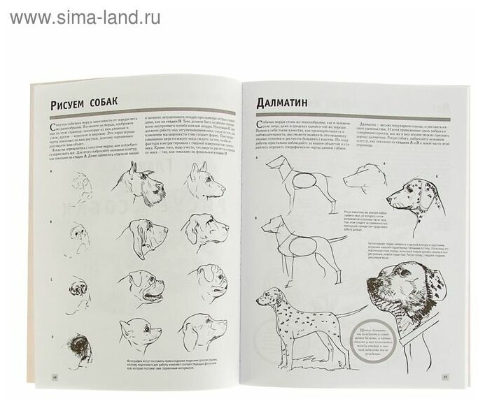 Рисуем животных (Степанова Анна Н.) - фото №11