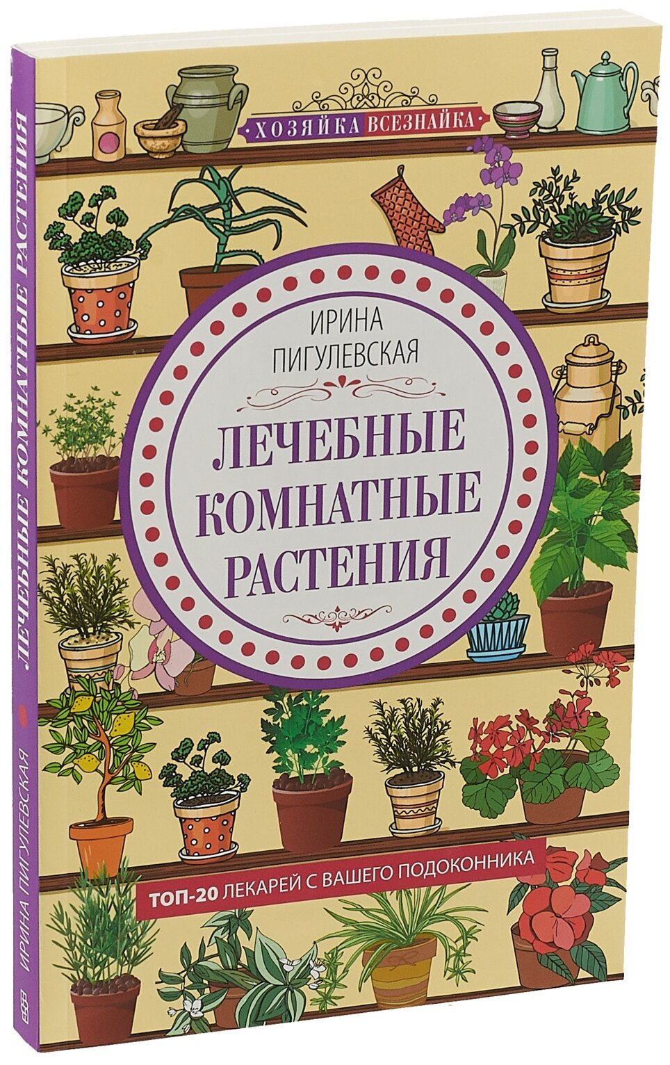 Лечебные комнатные растения. ТОП­20 лекарей с вашего подоконника - фото №4