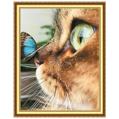 Алмазная мозаика 40х50 Котик