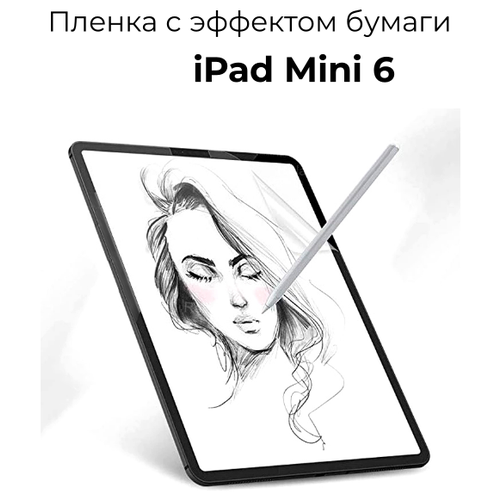       Apple iPad Mini 6/     / 