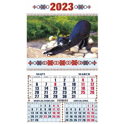 Без кота жизнь не та. 12 иллюстраций