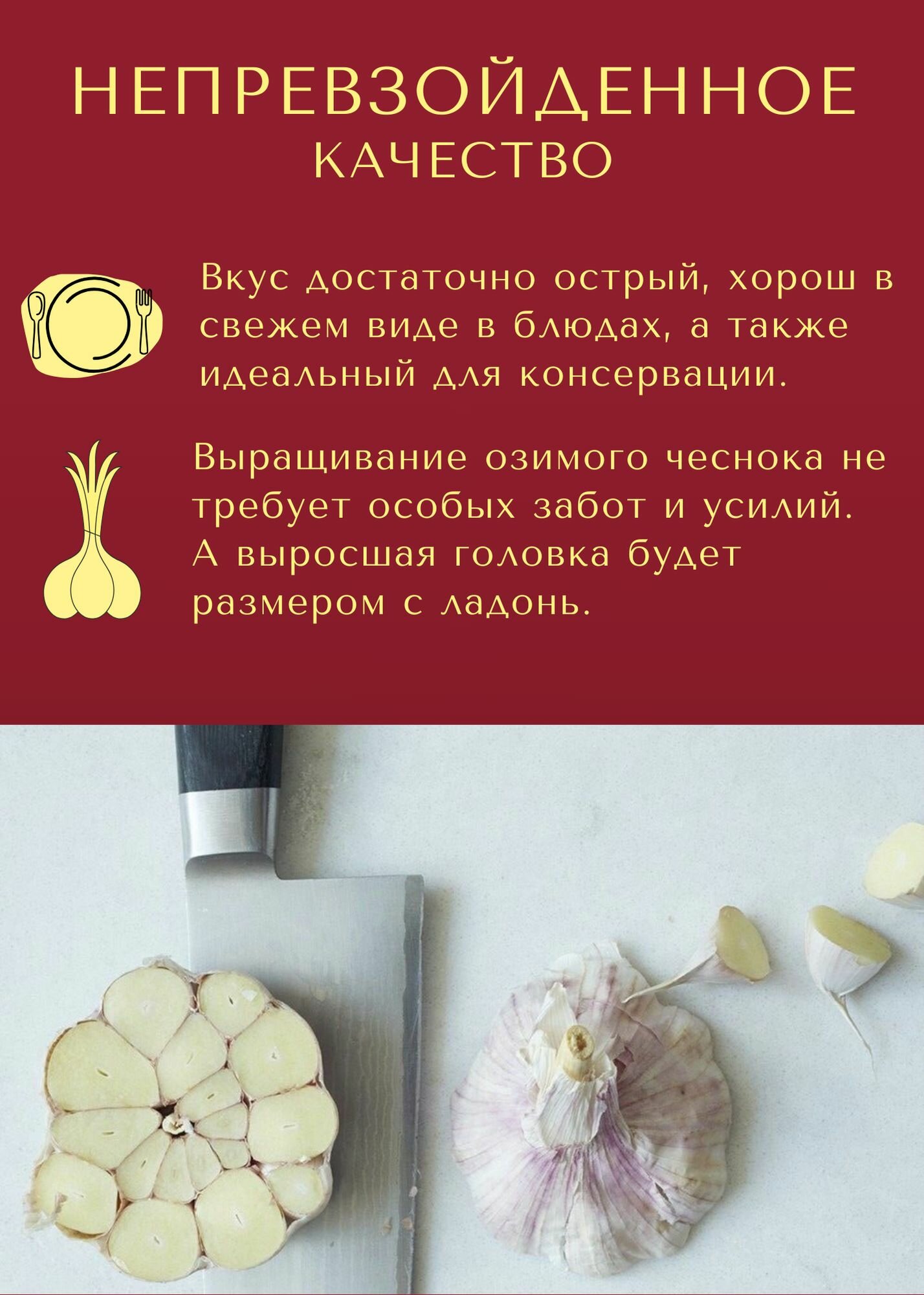 Чеснок отборный, сухой, морозостойкий, высокоурожайный Сорт озимого Чеснока 500гр. для посадки осенью, Садовый Домашний — фото 1