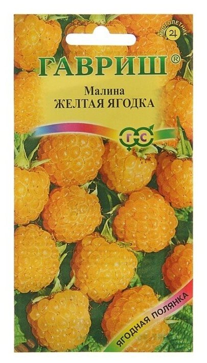 Семена Малина . Желтая ягодка .10 шт .3 уп.