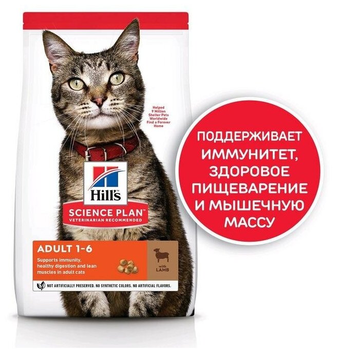 Сухой корм Hill's Science Plan для взрослых кошек для поддержания жизненной энергии и иммунитета, с ягненком, 3 кг - фотография № 13