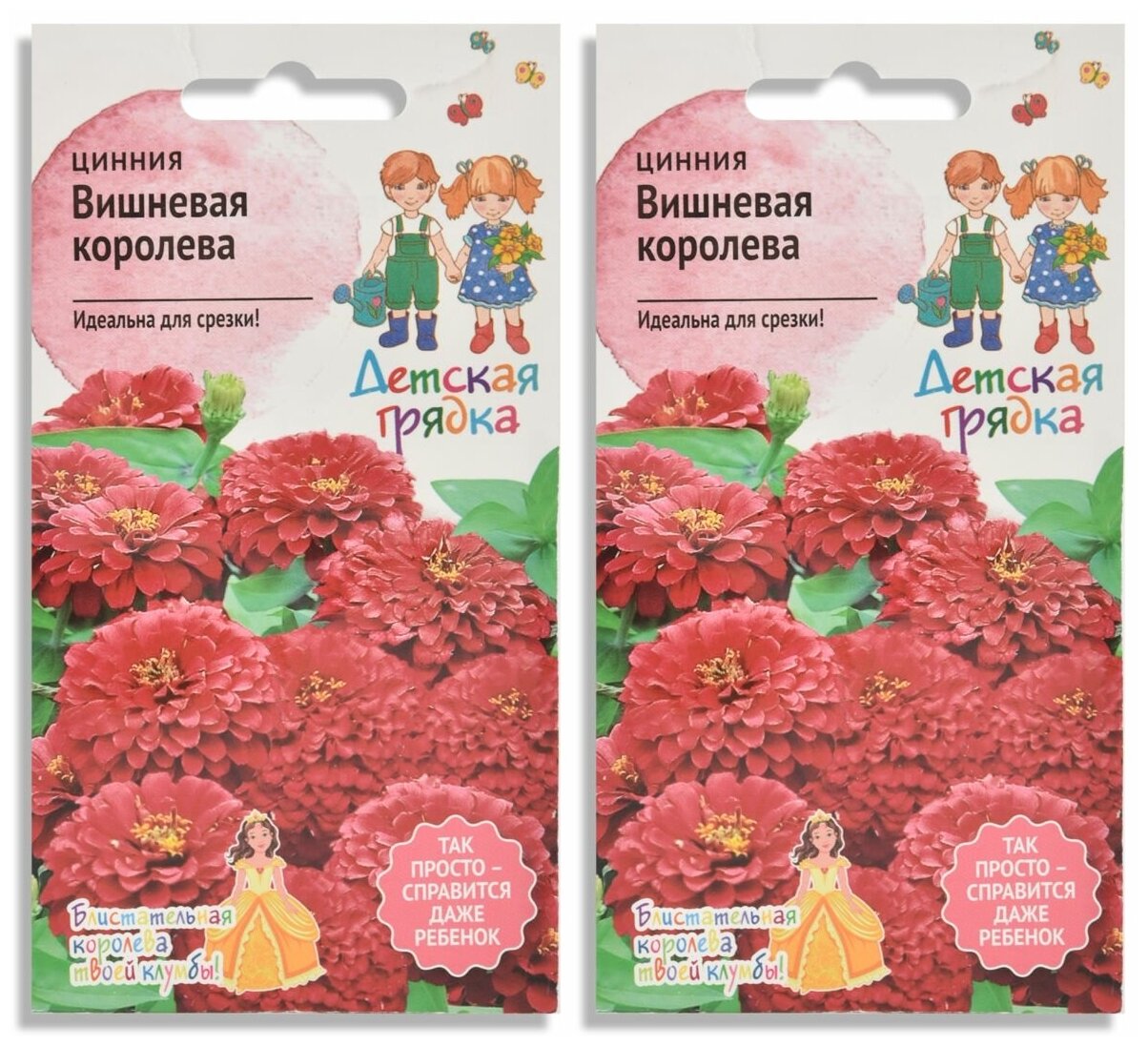 Циния Вишневая Королева