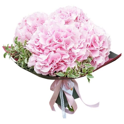 Гортензии-5 шт, букет №68, цветы для девушки