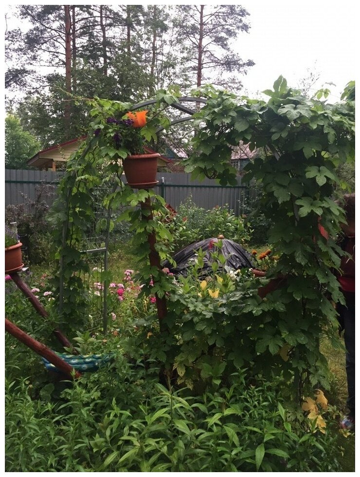 Арка садовая для вьющихся растений, универсальная - разборная, оцинкованная 3Д. 250 х 215 х 50 см. - фотография № 5