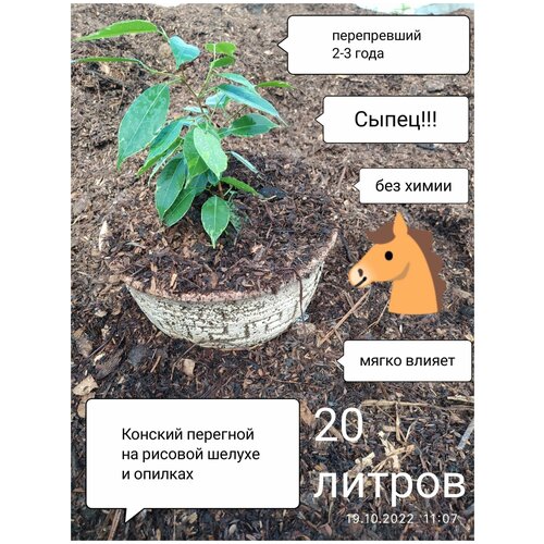 Конский перегной навоз 20