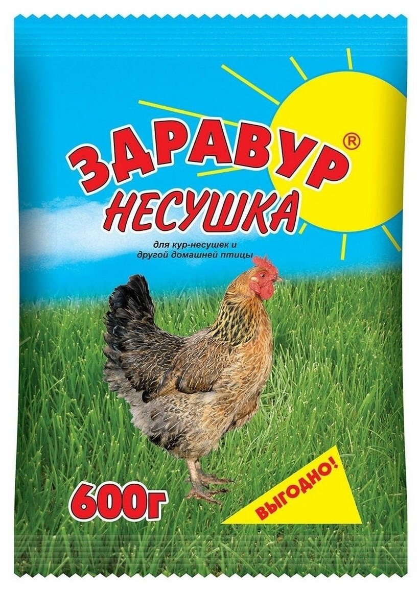 Премикс Здравур для кур несушка 600 гр - 3 пакета / Добавка в корм для домашней птицы / Витамины и минералы для кур-несушек - фотография № 4