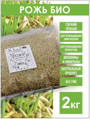 Рожь Озимая Семена ржи БИО, 2 кг. биоорганическая, рожь для проращивания, рожь для микрозелени, проростки