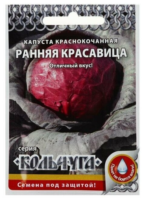 Семена Капуста краснокочанная 'Ранняя красавица', серия Кольчуга NEW, 0,5 г