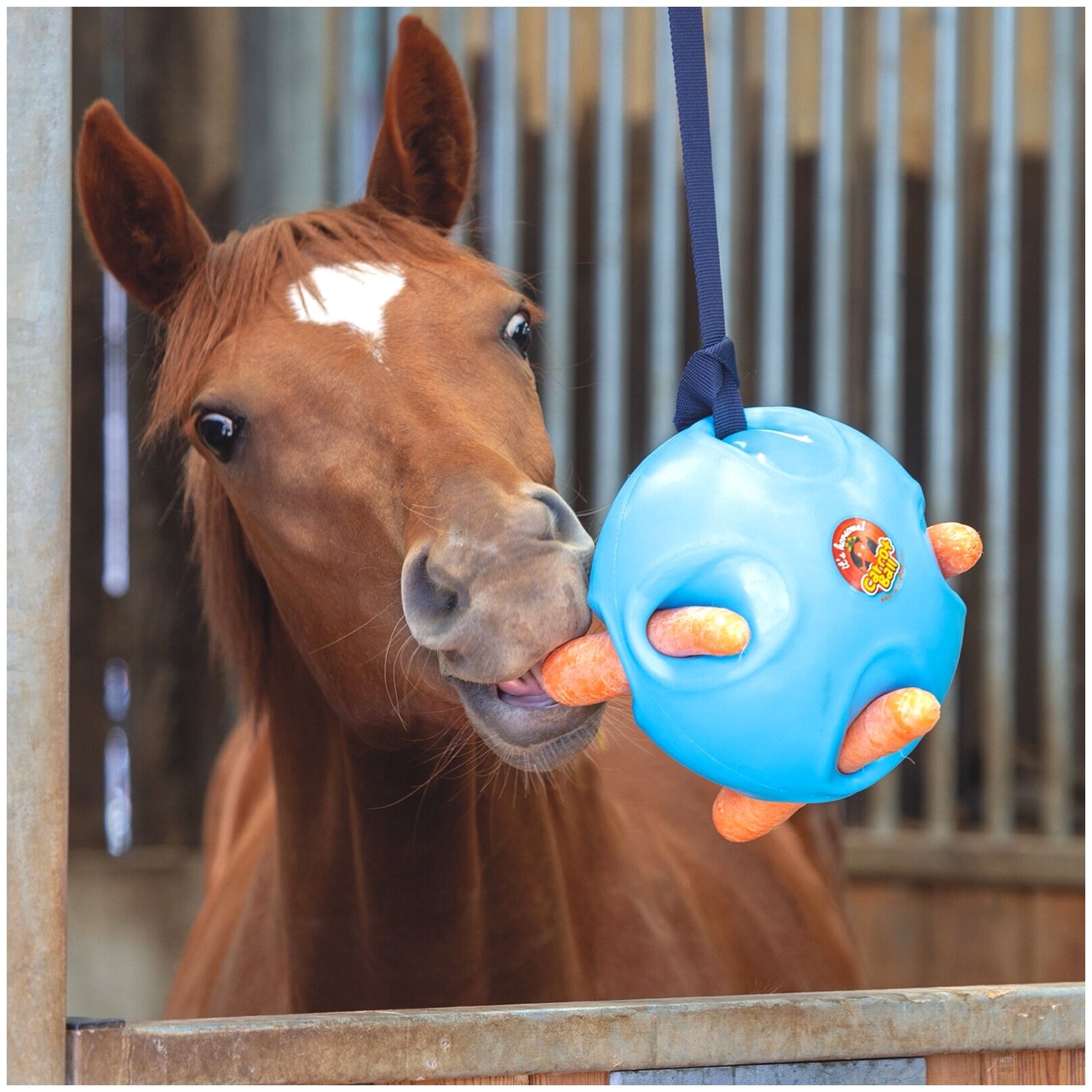 Игрушка для лошади денниковая SHIRES "Carrot Ball", голубой (Великобритания) - фотография № 1