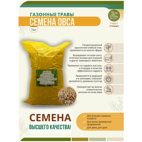 Семена овса - 1 кг Мосагрогрупп