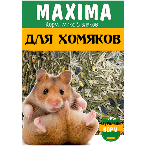 Корм для хомячков MAXIMA 1000 гр