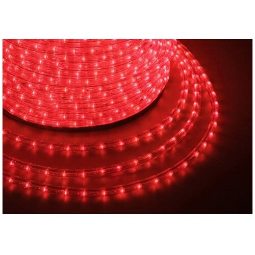 Neon-Night Гирлянда Дюралайт LED фиксинг 2W - красный d=13мм, 36LED/м, модуль 2м 121-122
