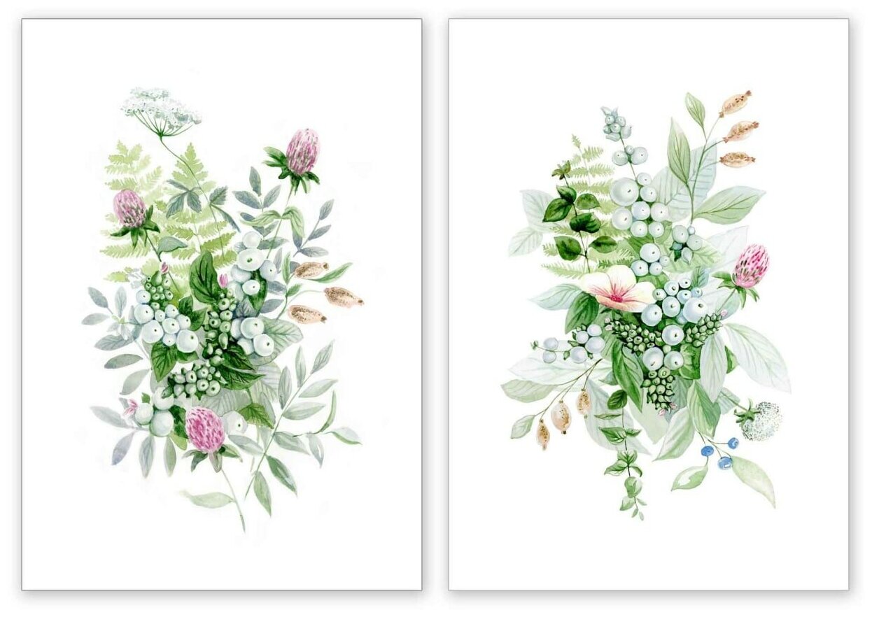Набор из двух ботанических Интерьерных постеров "Летние Полевые Цветы" 30х21 см. Серия "Полевые цветы"