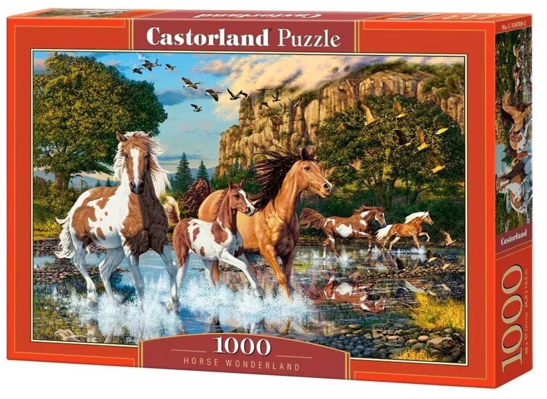 Puzzle-1000. Бегущие по воде Castorland - фото №1