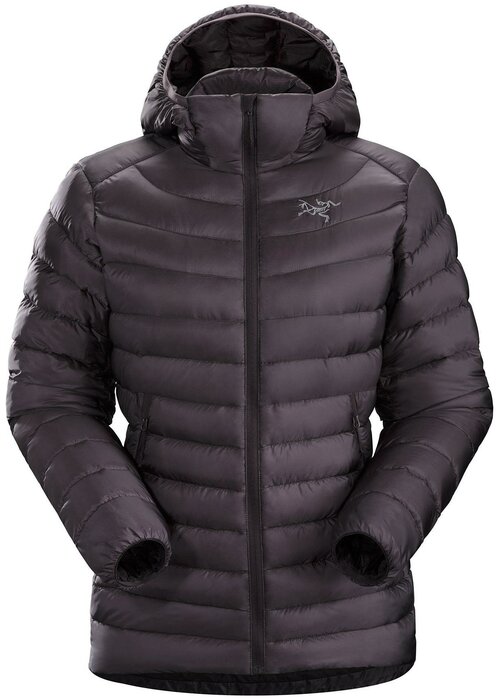 Куртка для активного отдыха Arcteryx Cerium Lt Hoody Womens Quantum (INT:S)