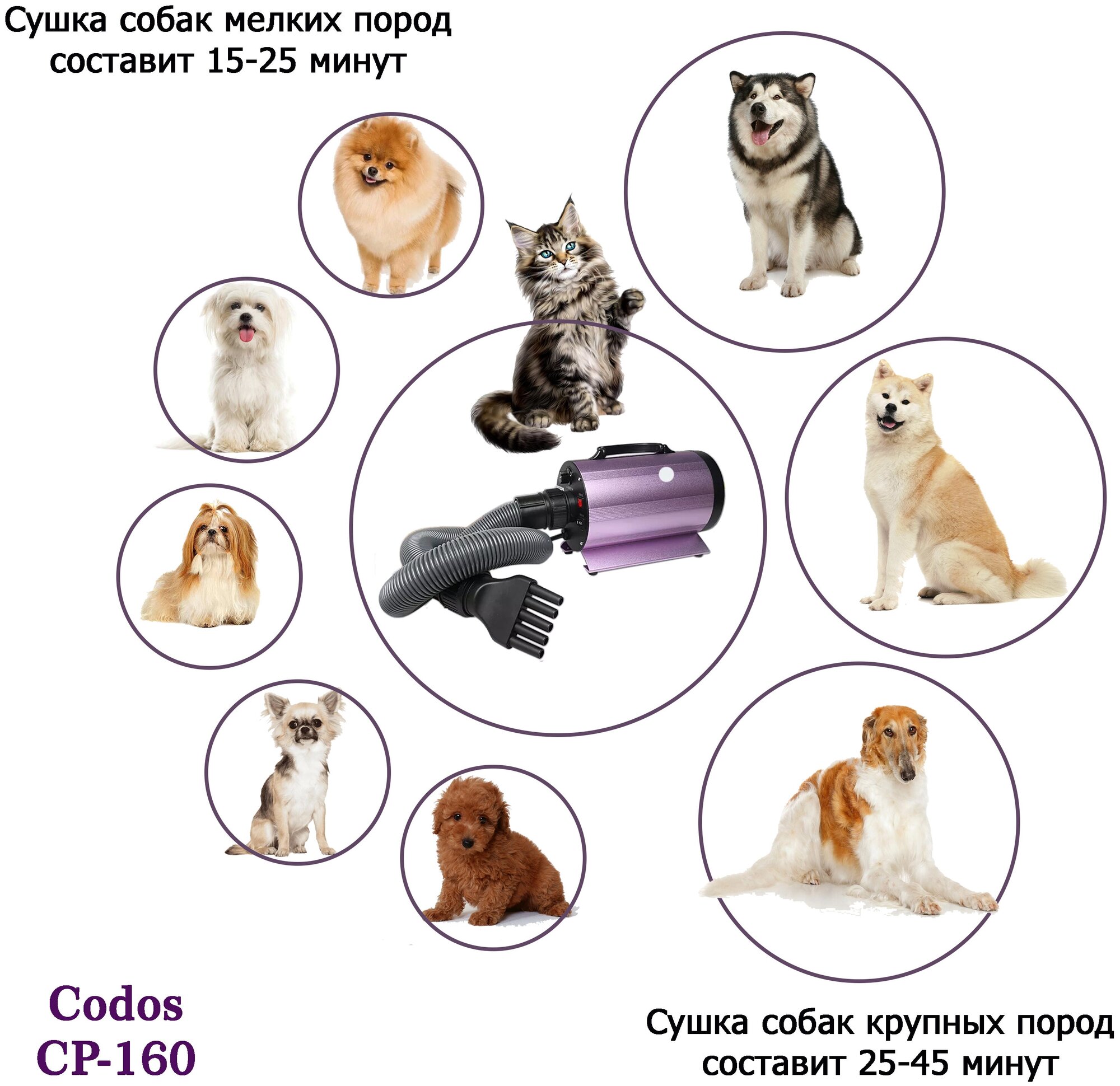 Фен-компрессор для сушки собак и кошек Codos CP-160 325017 - фотография № 3