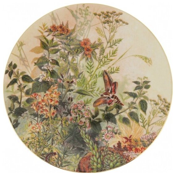 Тарелка декоративная Thun "Бабочка" настенная, с крючком, 27 см