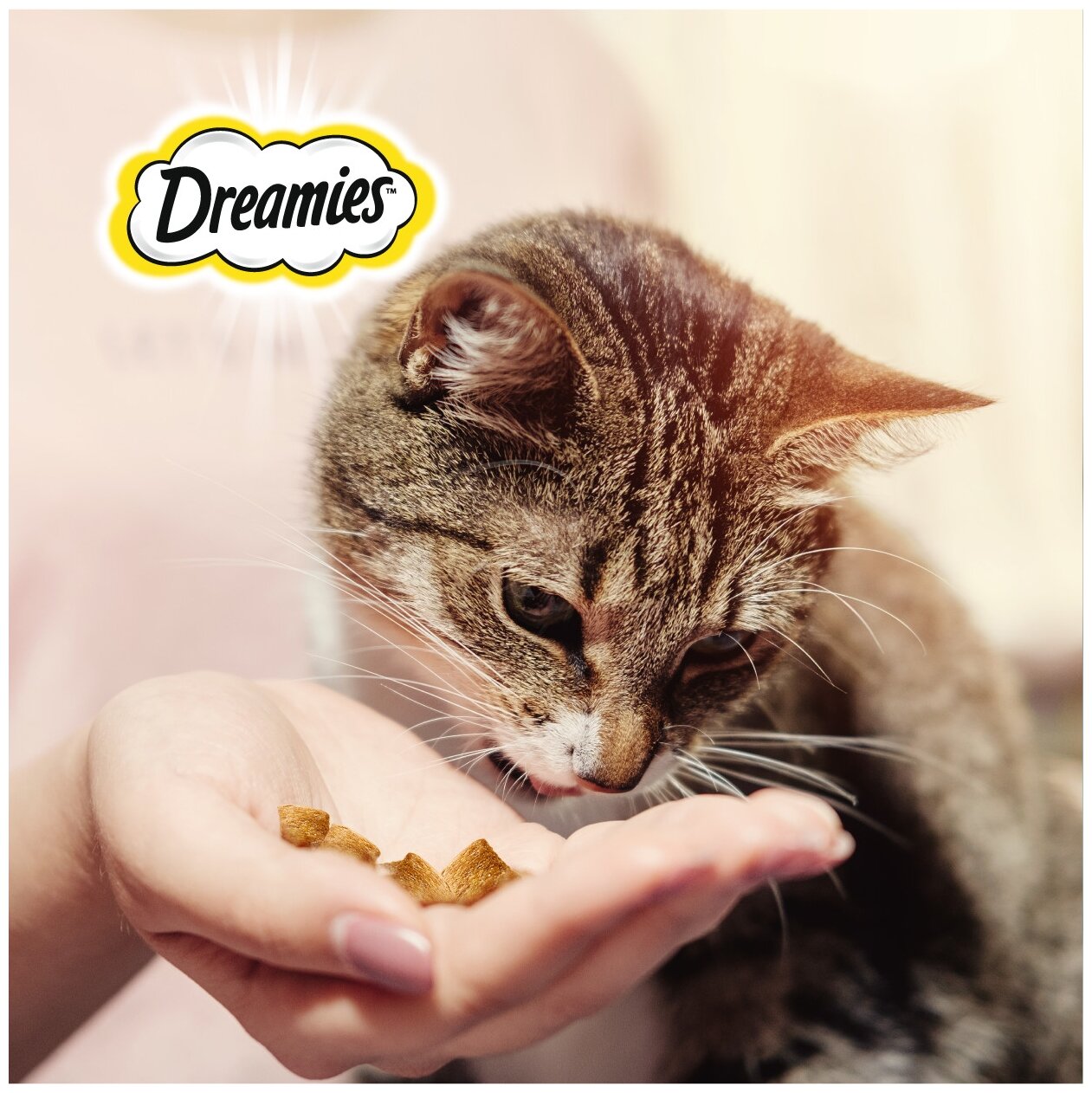 Dreamies лакомство для кошек, подушечки c курицей (8шт в уп) 200 гр - фотография № 8