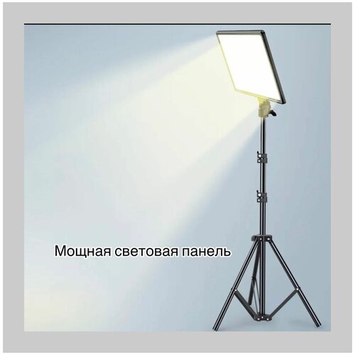 Видео свет светодиодный студийный с усиленным штативом 659000₽