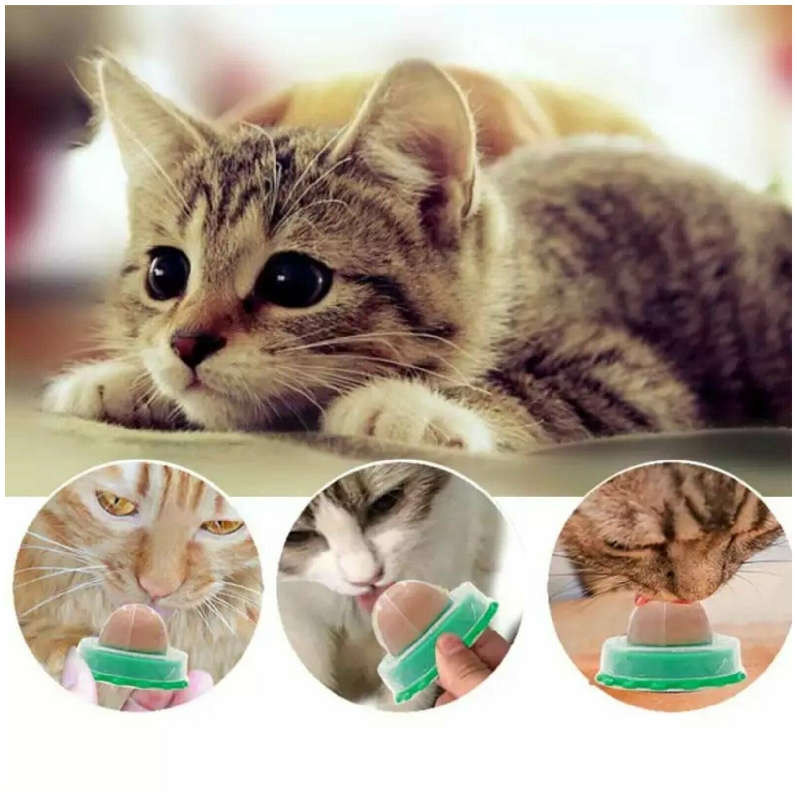 Кошачья мята для кошек с витаминами - фотография № 1