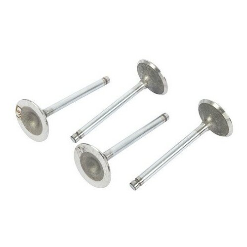 Чамз Клапан впускной 4216, 4178, 4218, 402 дв. (Чамз)