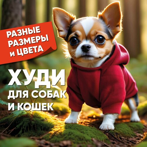 Красное худи с капюшоном и карманом для кошек и собак мелких пород. Размер XL