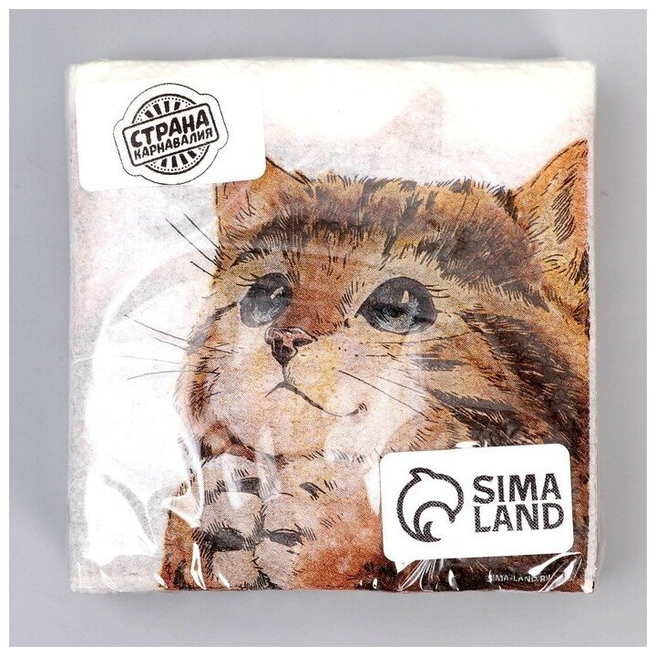 Салфетки бумажные однослойные «Котёнок», 24×24 см, набор 20 штук - фотография № 5