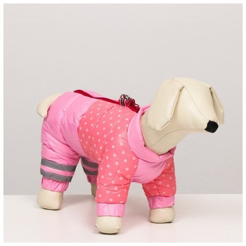 Комбинезон для собак Sima-land "Горошек", размер 14, розовый (6968550)