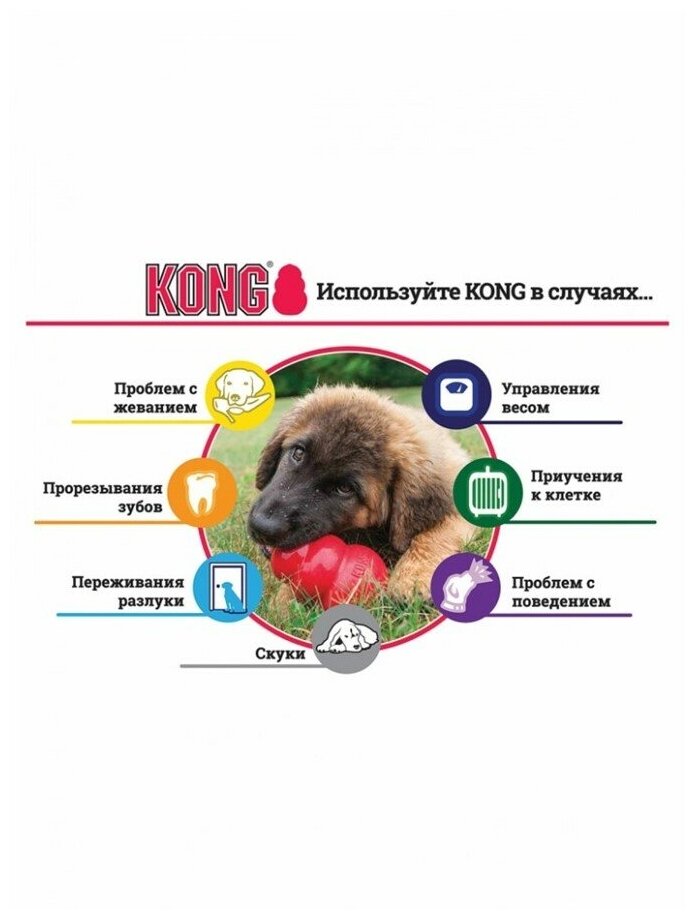 KONG Extreme L игрушка для собак очень прочная большая 10 х 6 см - фотография № 14