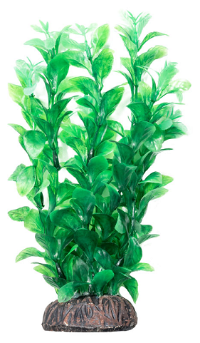 Растение LAGUNA "Людвигия" зеленая, 100мм - фотография № 2