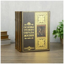 Сейф-книга многотомник "Основы трезвого образа жизни" 25х19х16,5 см