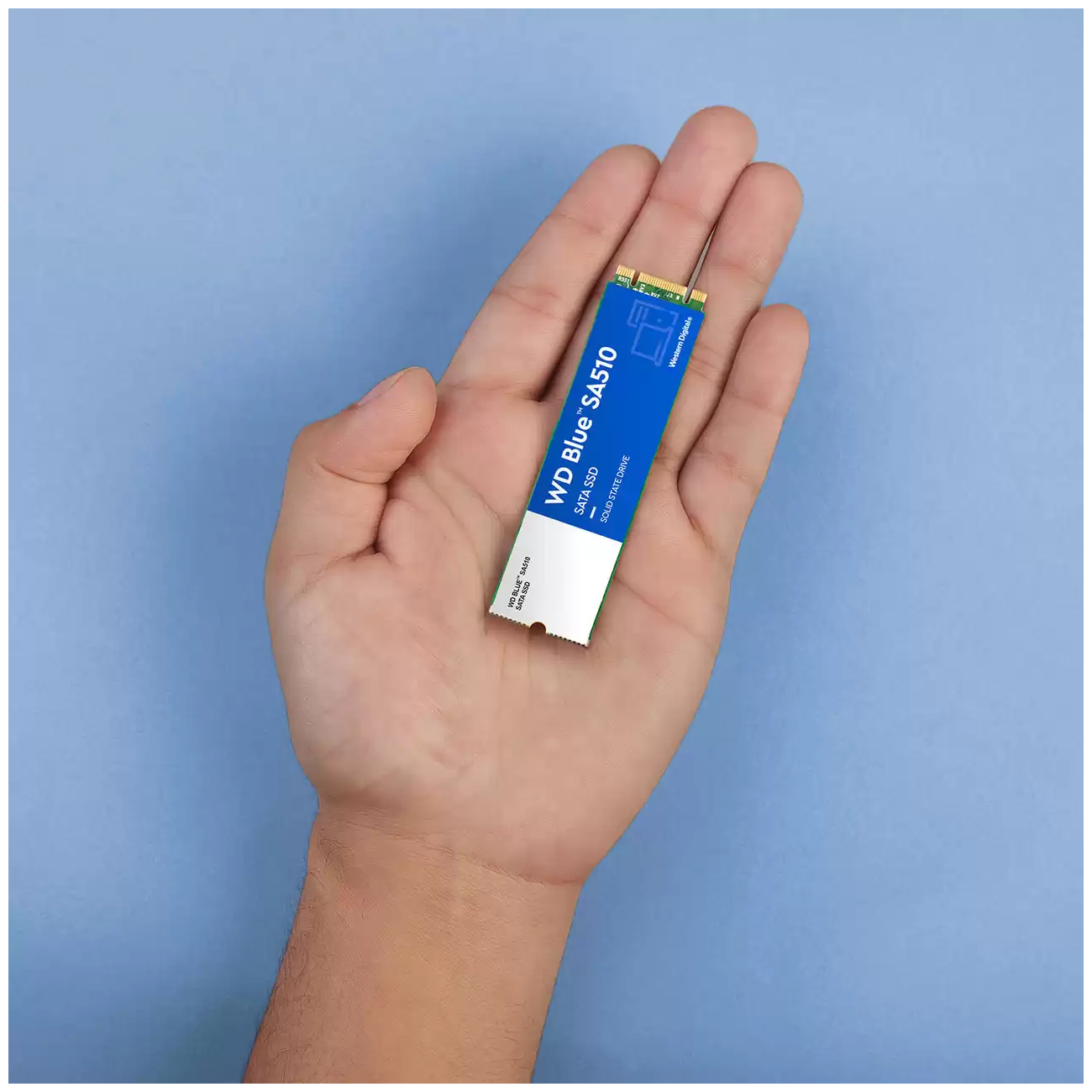 Твердотельный накопитель SSD Western Digital Blue SA510, 250GB, M.2(22x80mm), SATA3, R/W 550/525MB/s, IOPs 95 000/81 000, TBW 100, DWPD 0.2 (12 мес.) - фотография № 4