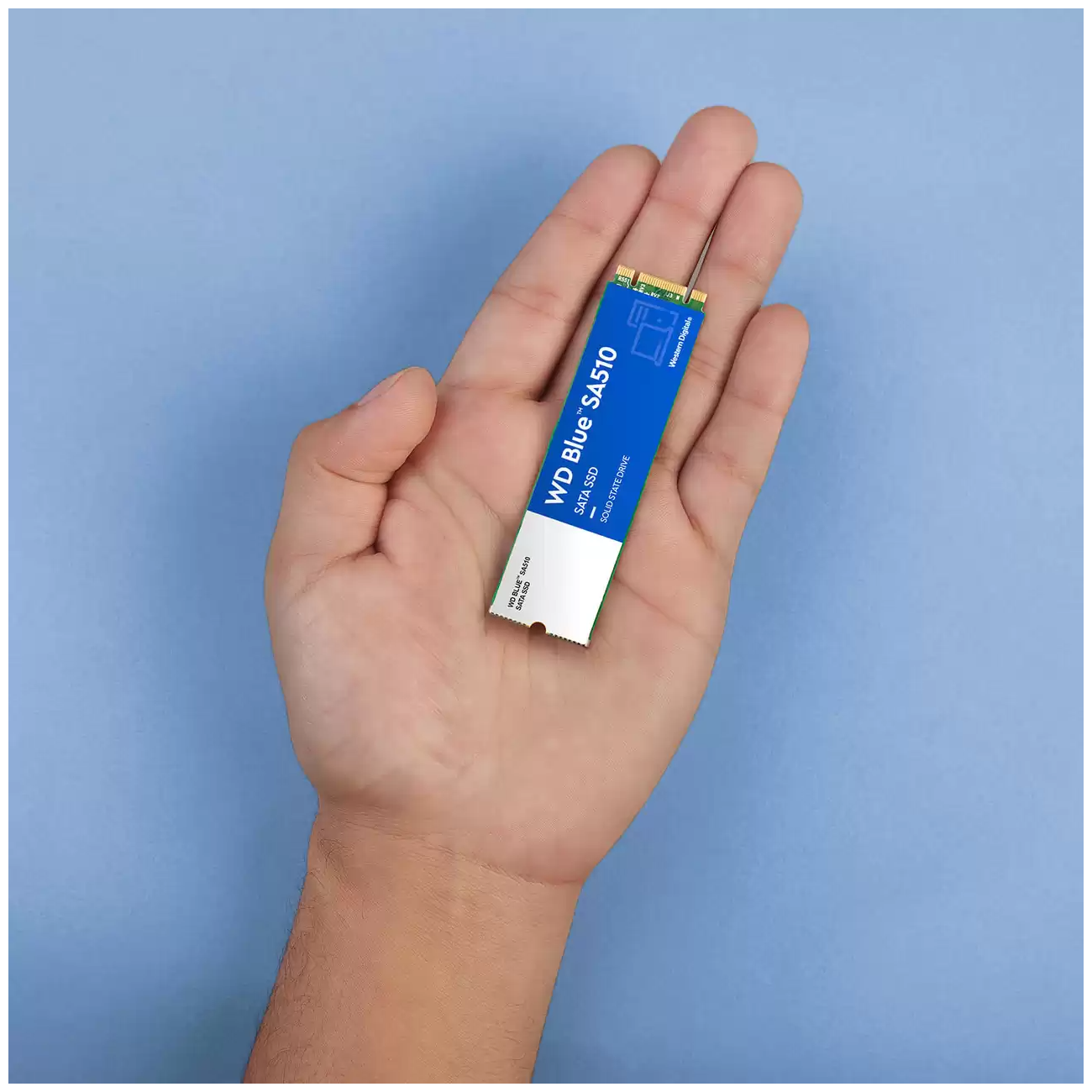Твердотельные накопители WD WDS250G3B0B - фото №5