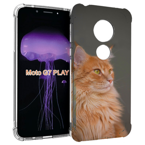 Чехол MyPads кошка мейн кун 1 для Motorola Moto G7 Play задняя-панель-накладка-бампер