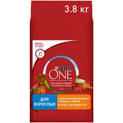 Сухой корм Purina ONE® для взрослых собак средних и крупных пород, с высоким содержанием курицы и рисом, Пакет, 10 кг